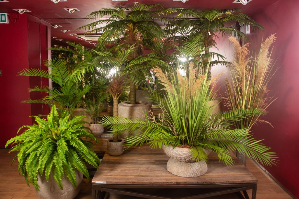 夏の装飾品 - 観葉植物